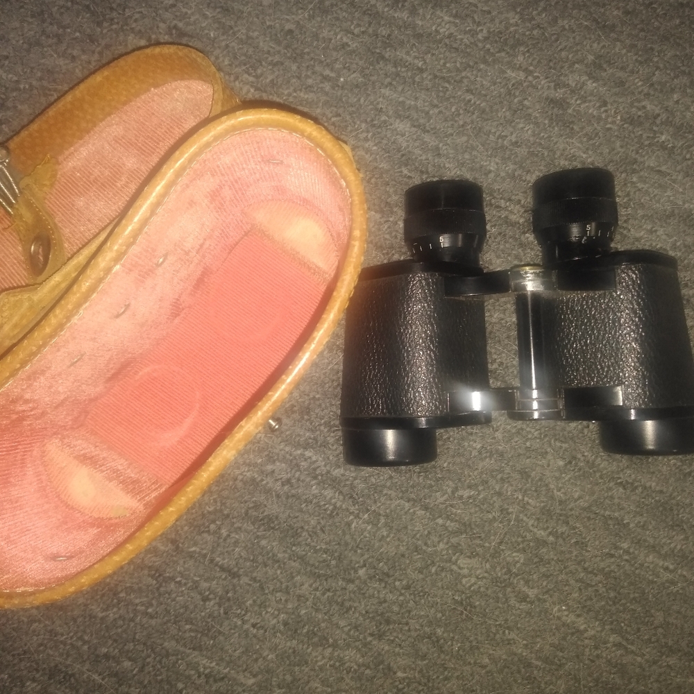 Vintage Binoculars Japan